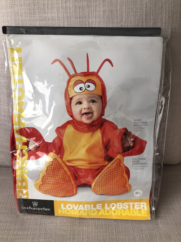Disfraz Langosta Bebe Talla 6 a 12 Meses - Imagen 2