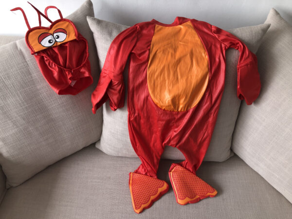 Disfraz Langosta Bebe Talla 6 a 12 Meses - Imagen 3